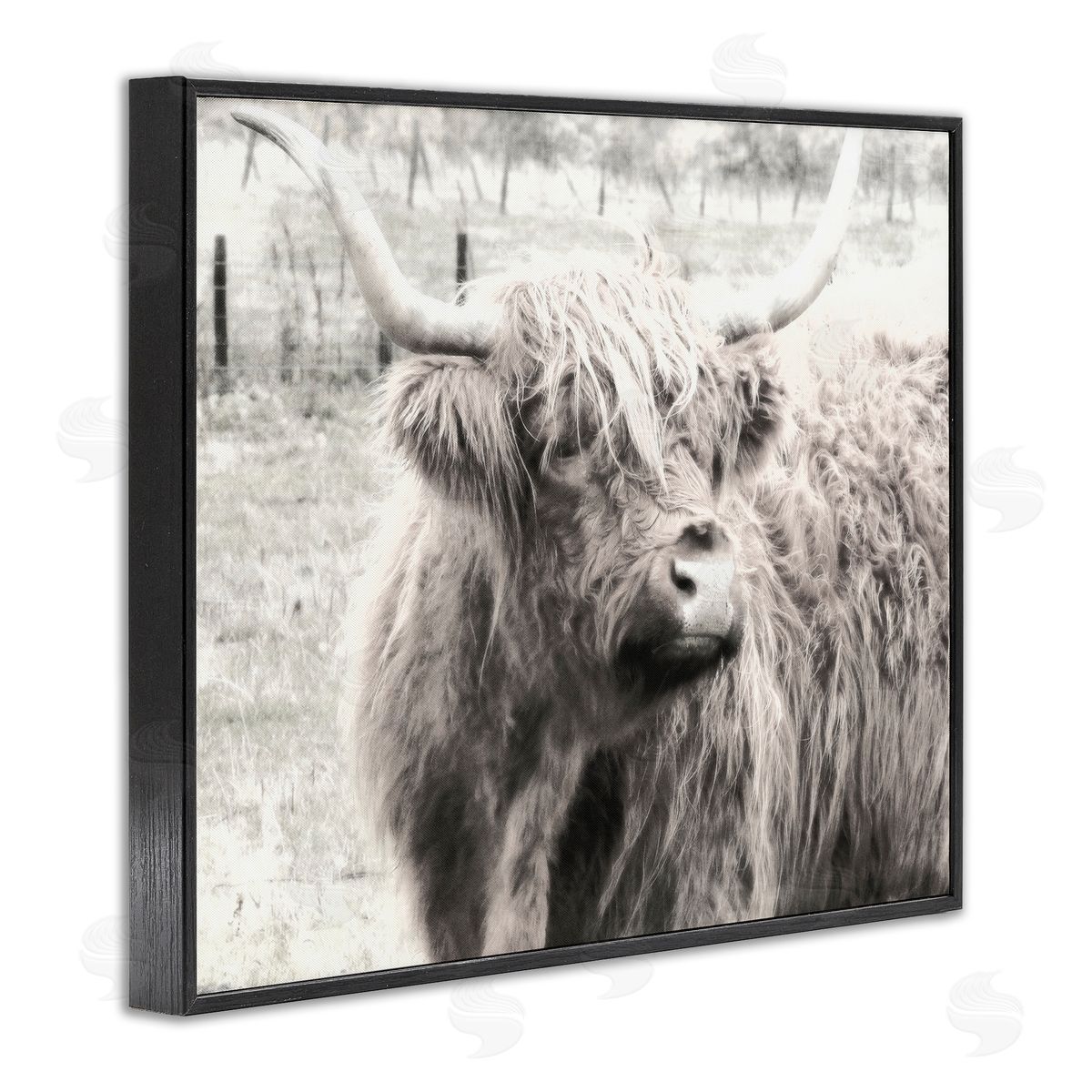 Graffitee Studios Rustic Farm Highland Cattle Cow Monochrome Photography Black Framed Giclee Wall Art Print