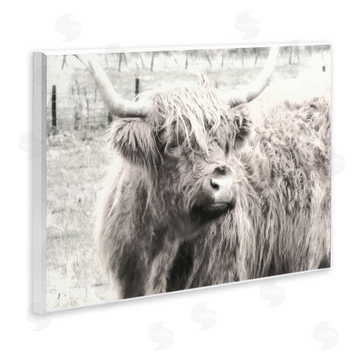 Graffitee Studios Rustic Farm Highland Cattle Cow Monochrome Photography Wall Plaque Art Print