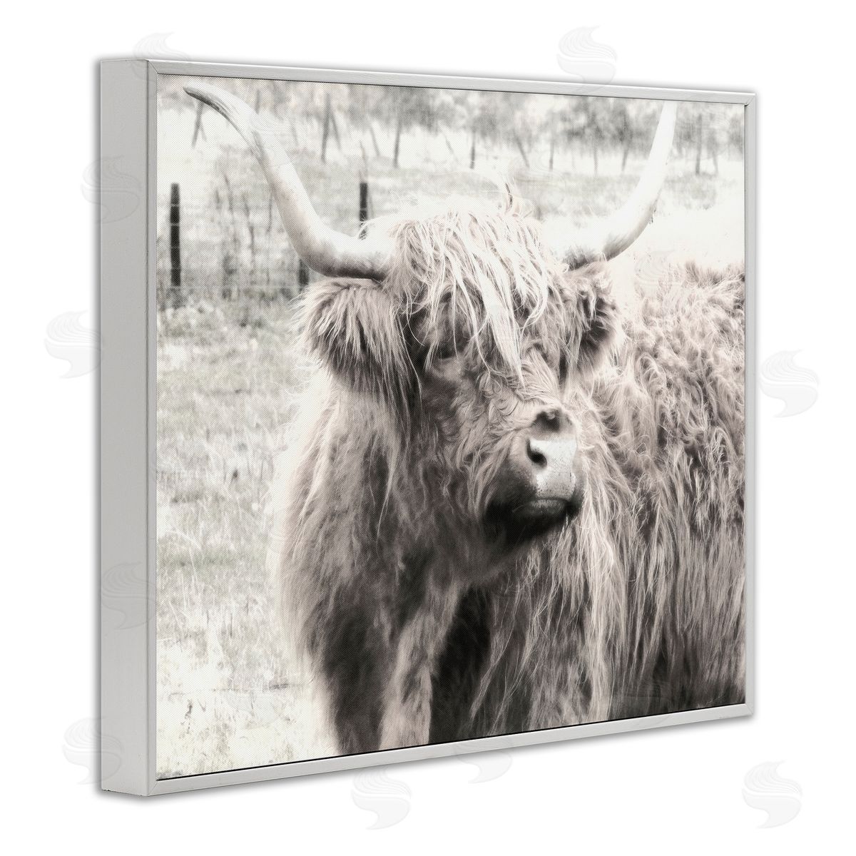 Graffitee Studios Rustic Farm Highland Cattle Cow Monochrome Photography White Framed Giclee Wall Art Print