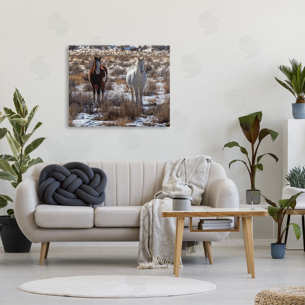 Jeff Poe Photography Pair Horses Walking Through Snow Dusted Grassland  Canvas Wall Art Print in Room