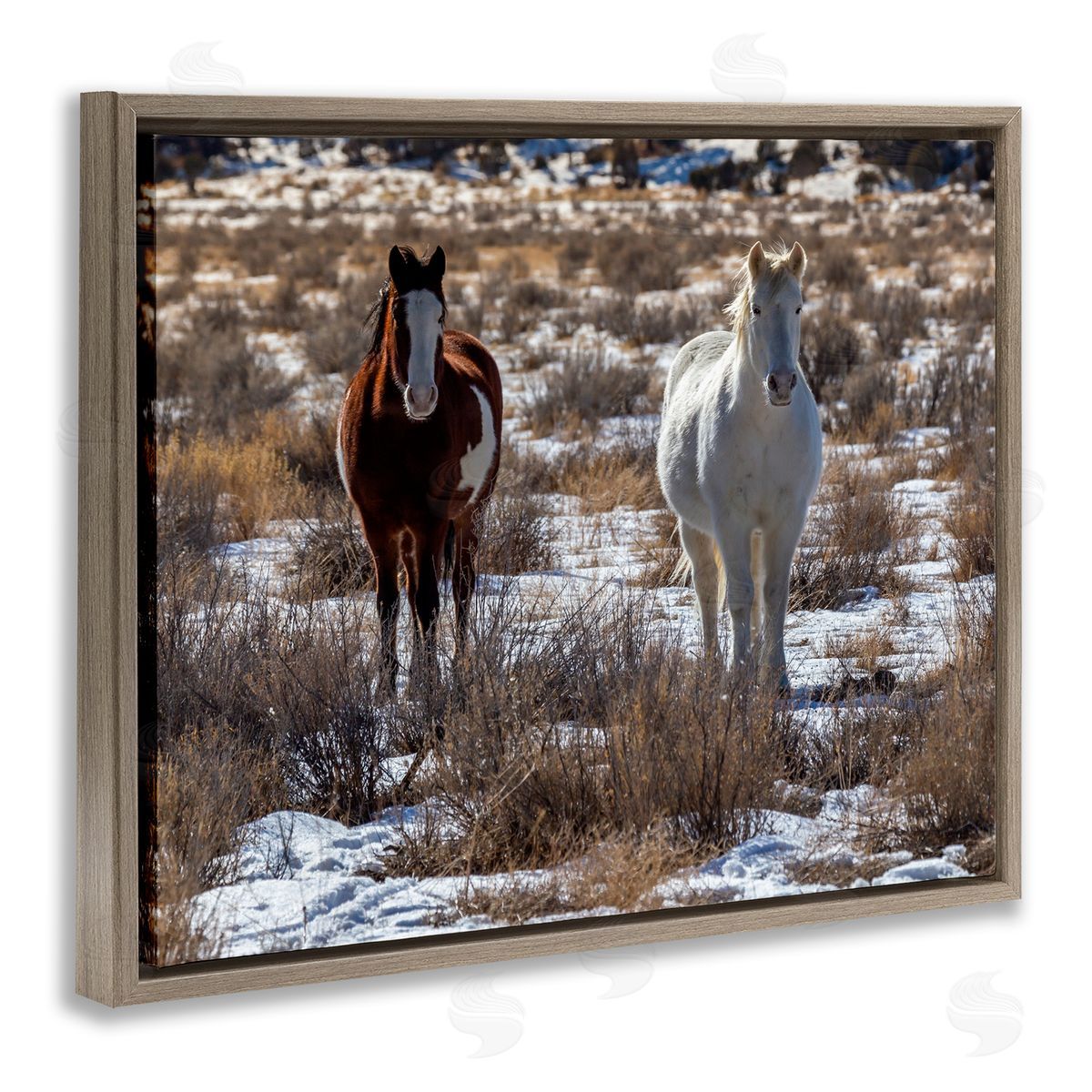 Jeff Poe Photography Pair Horses Walking Through Snow Dusted Grassland  Brown Floating Frame Canvas Wall Art Print