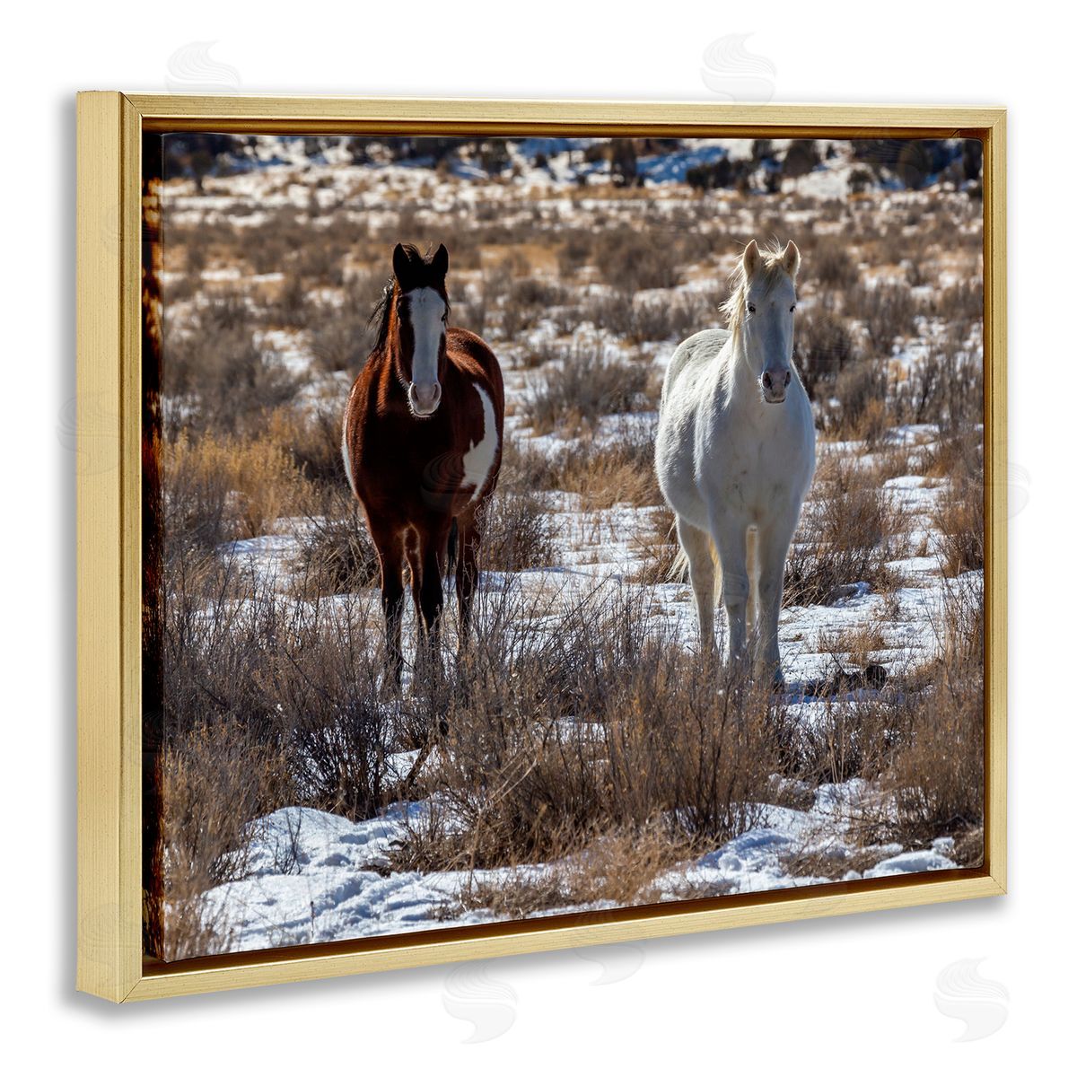 Jeff Poe Photography Pair Horses Walking Through Snow Dusted Grassland  Gold Floating Frame Canvas Wall Art Print