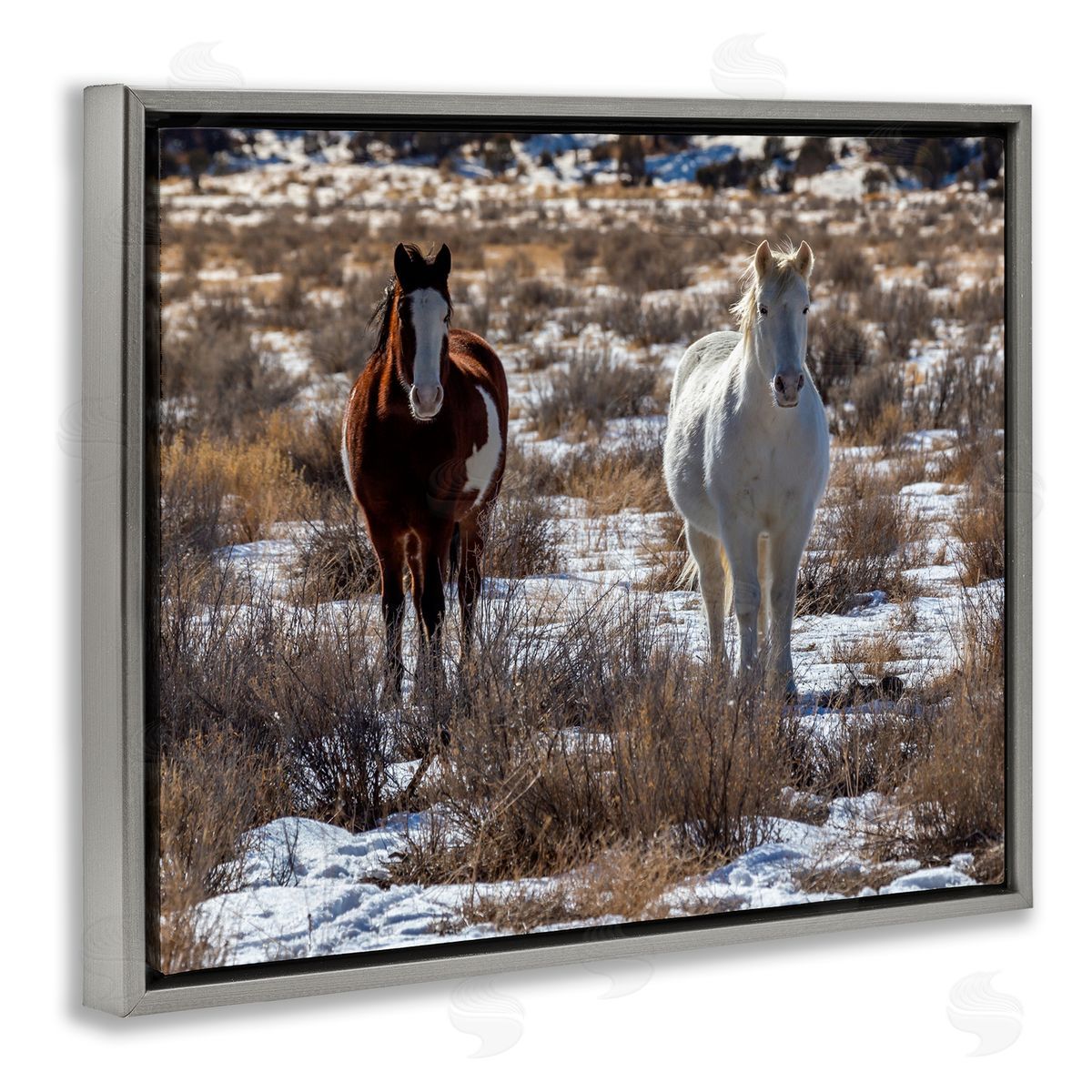 Jeff Poe Photography Pair Horses Walking Through Snow Dusted Grassland  Gray Floating Frame Canvas Wall Art Print