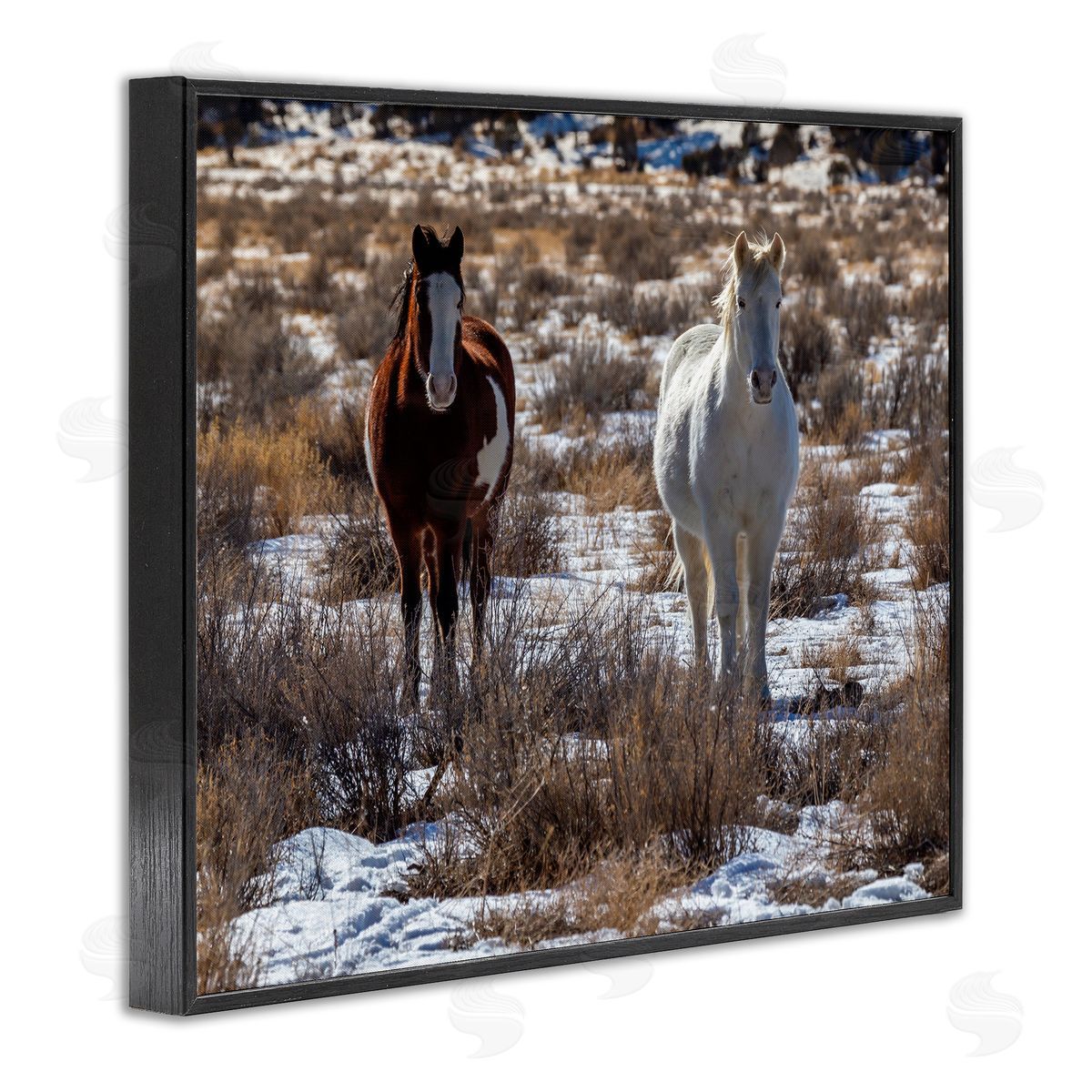 Jeff Poe Photography Pair Horses Walking Through Snow Dusted Grassland  Black Framed Giclee Wall Art Print