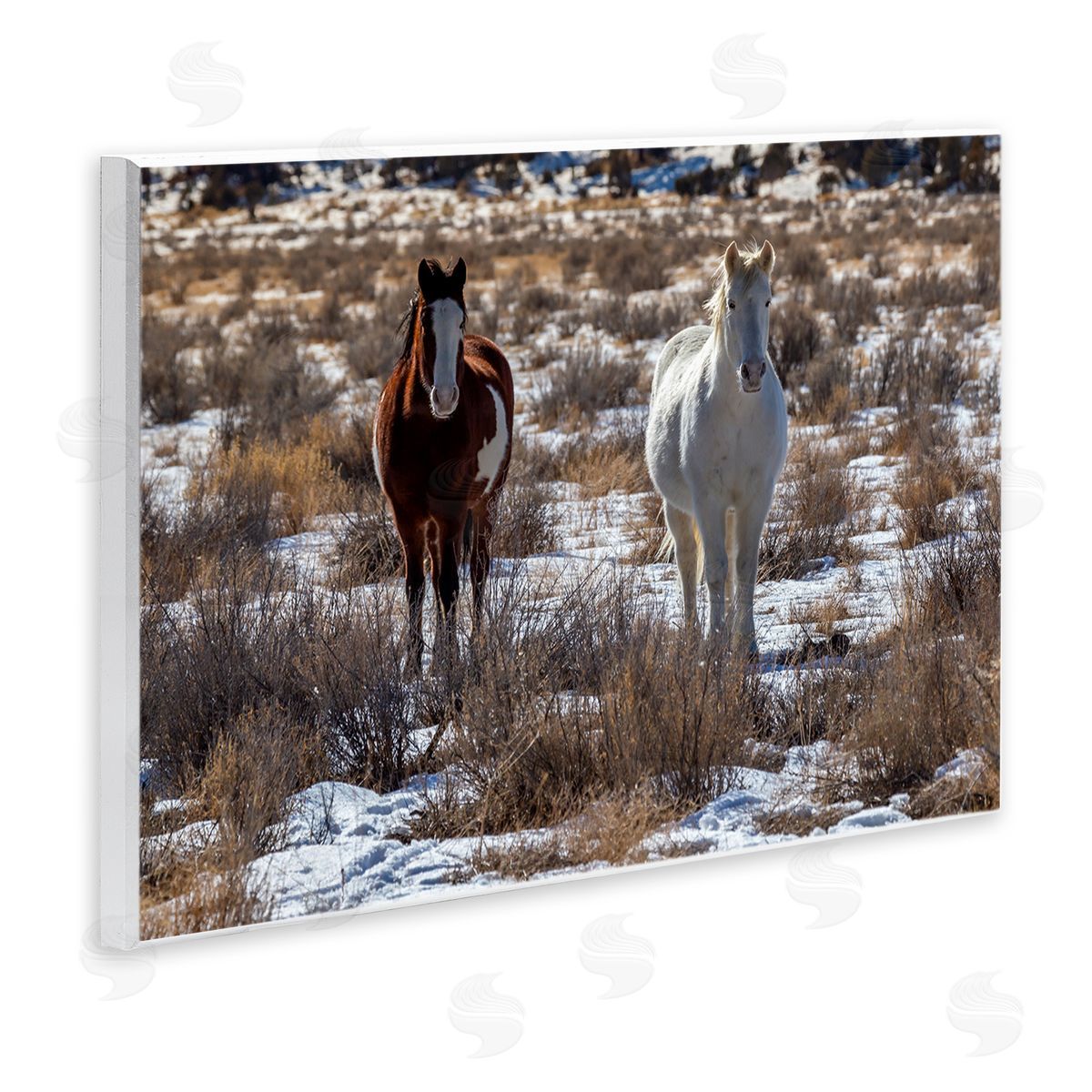Jeff Poe Photography Pair Horses Walking Through Snow Dusted Grassland  Wall Plaque Art Print