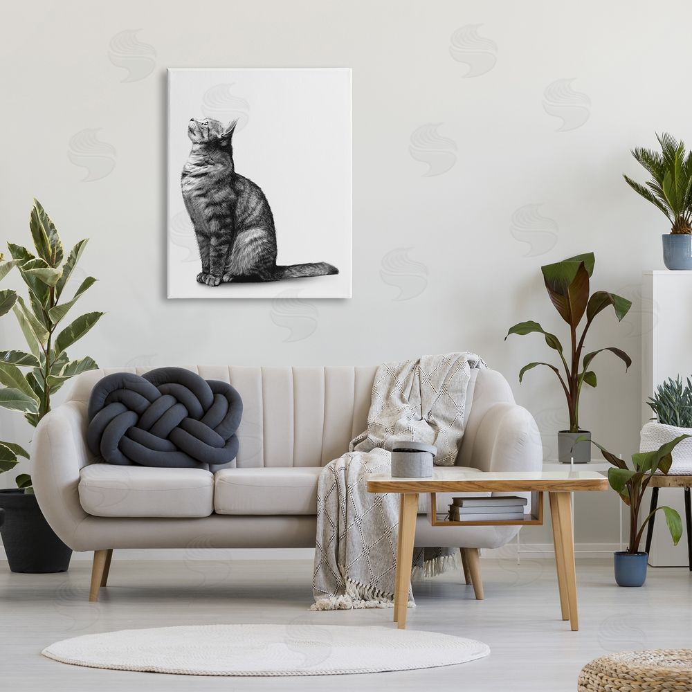 Ziwei Li Manx Cat Sitting Calmly Detailed Casual Portrait  Canvas Wall Art Print in Room