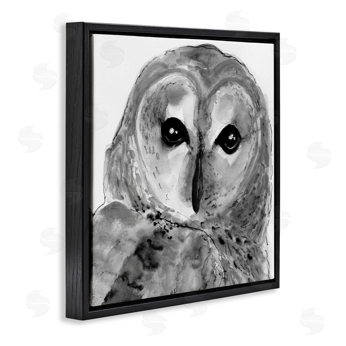 Patti Mann Close Up Barn Owl Bird Gazing Ink Watercolor  Black Floating Frame Canvas Wall Art Print