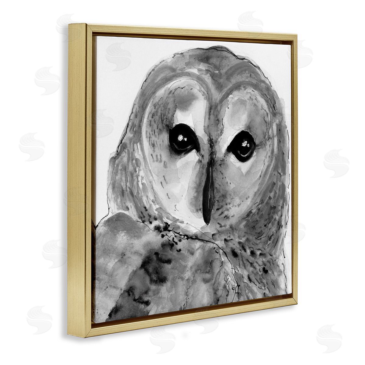 Patti Mann Close Up Barn Owl Bird Gazing Ink Watercolor  Gold Floating Frame Canvas Wall Art Print