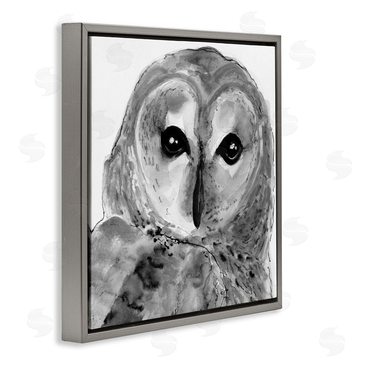 Patti Mann Close Up Barn Owl Bird Gazing Ink Watercolor  Gray Floating Frame Canvas Wall Art Print