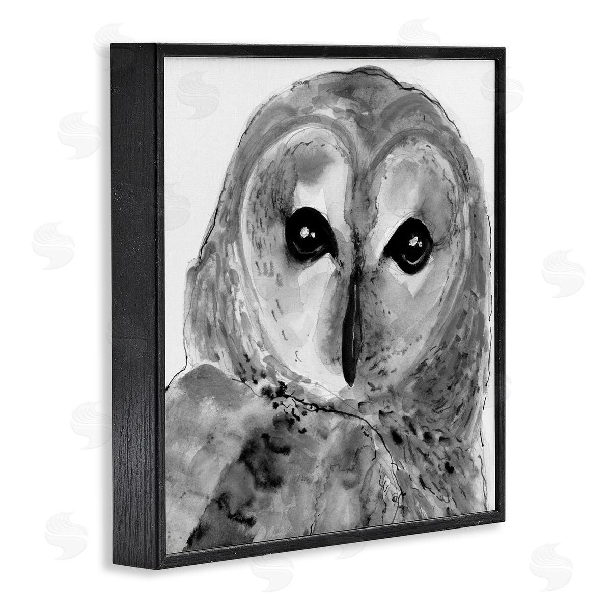 Patti Mann Close Up Barn Owl Bird Gazing Ink Watercolor  Black Framed Glicee Wall Art Print