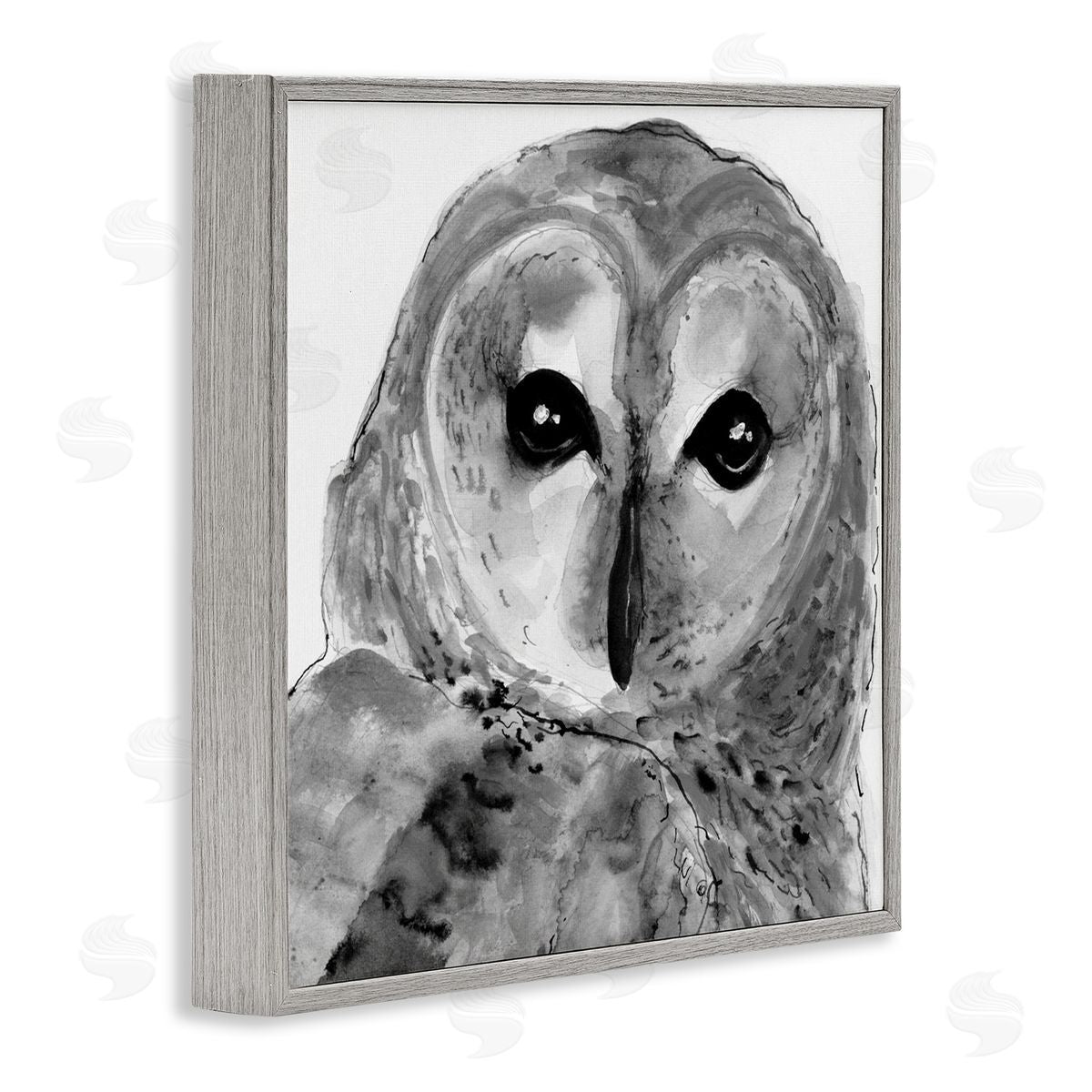 Patti Mann Close Up Barn Owl Bird Gazing Ink Watercolor  Gray Framed Glicee Wall Art Print