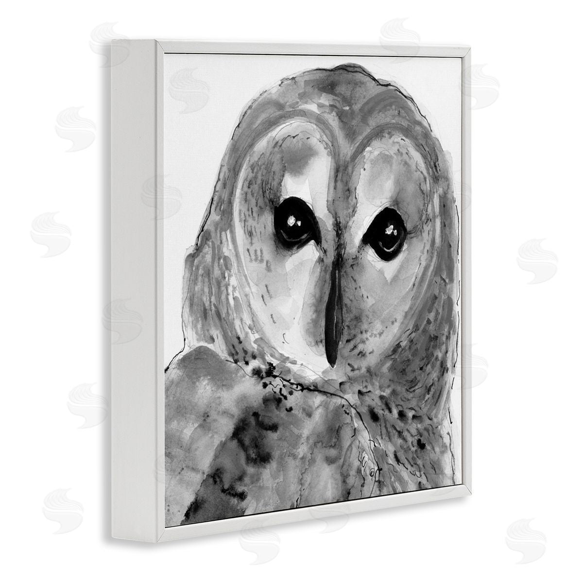 Patti Mann Close Up Barn Owl Bird Gazing Ink Watercolor  White Framed Glicee Wall Art Print