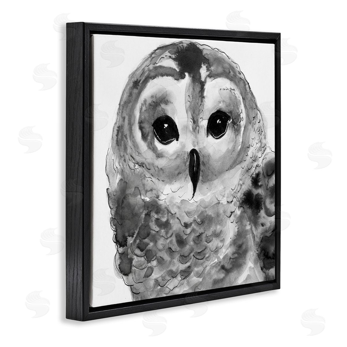 Patti Mann Tranquil Barn Owl Bird Face Portrait Painting Black Floating Frame Canvas Wall Art Print