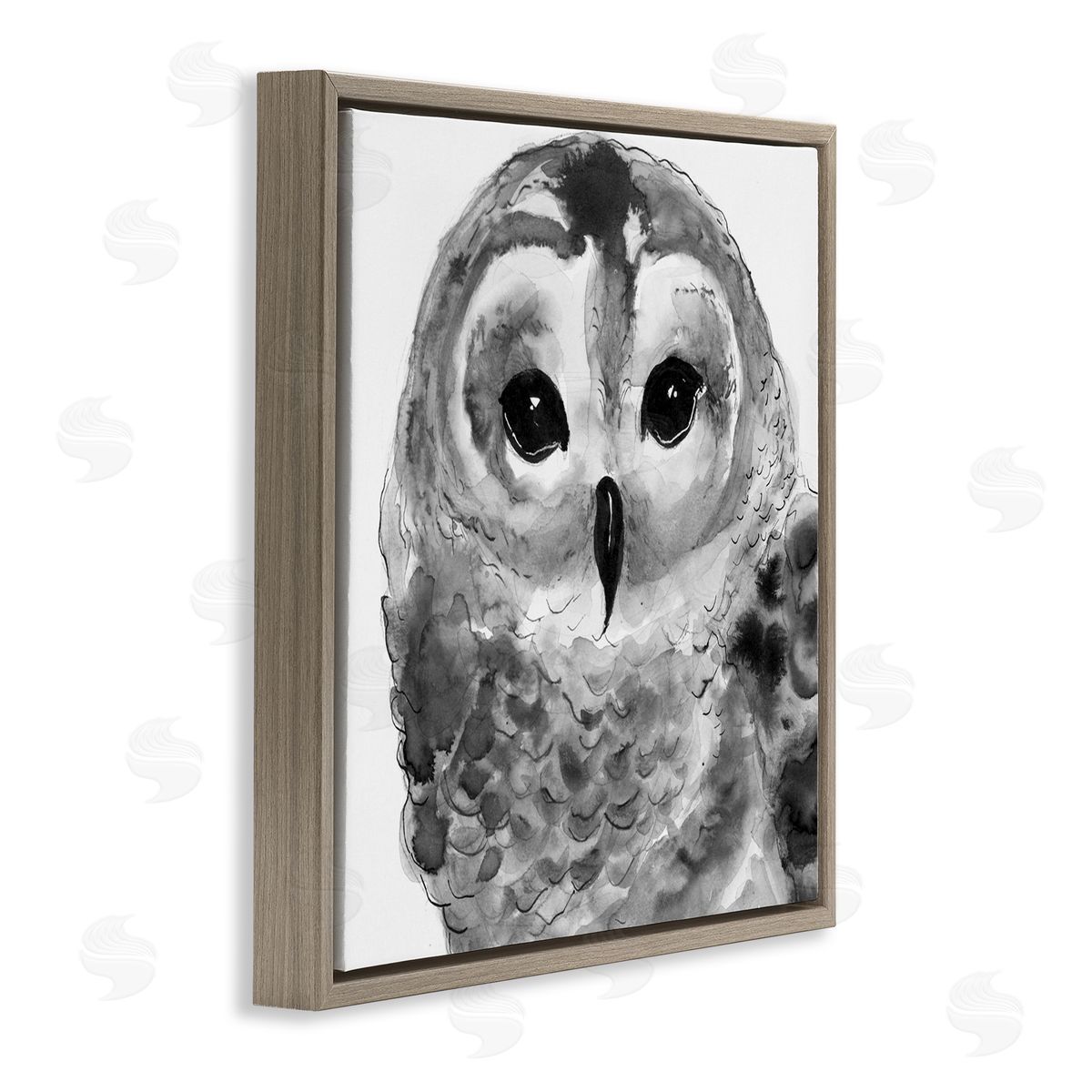 Patti Mann Tranquil Barn Owl Bird Face Portrait Painting Brown Floating Frame Canvas Wall Art Print