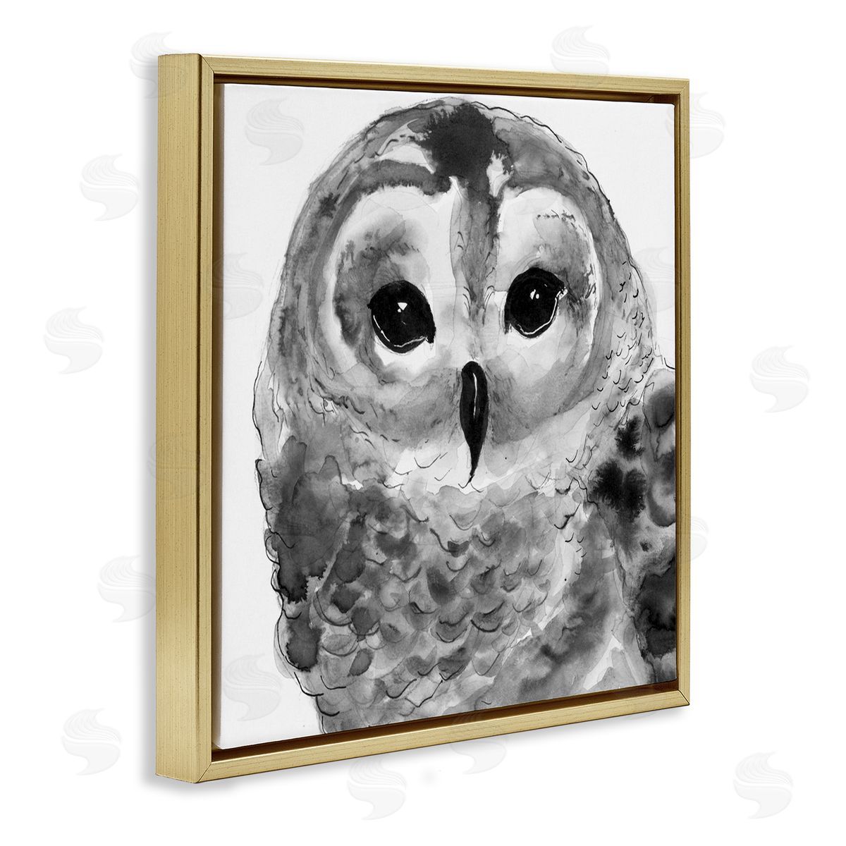 Patti Mann Tranquil Barn Owl Bird Face Portrait Painting Gold Floating Frame Canvas Wall Art Print