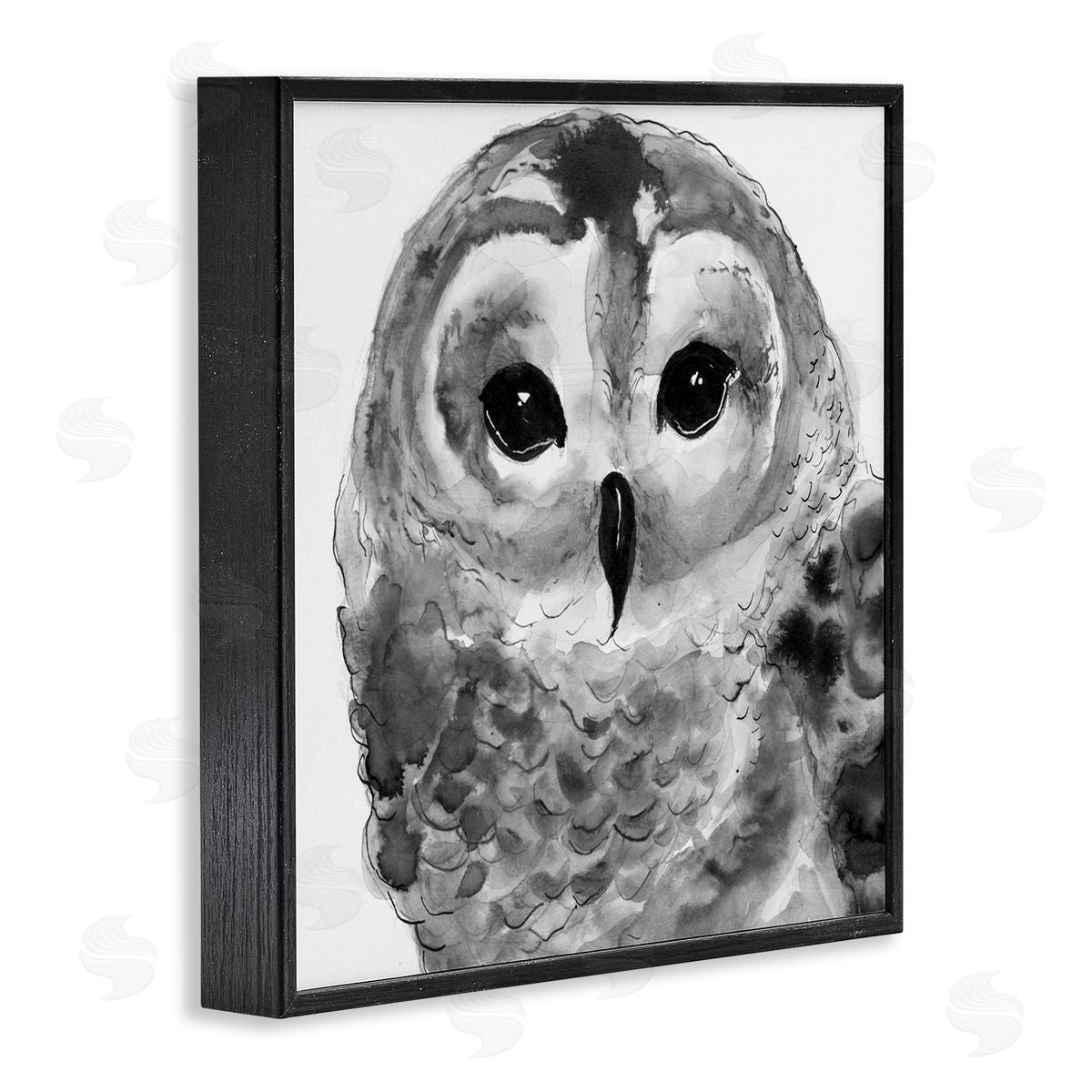Patti Mann Tranquil Barn Owl Bird Face Portrait Painting Black Framed Glicee Wall Art Print