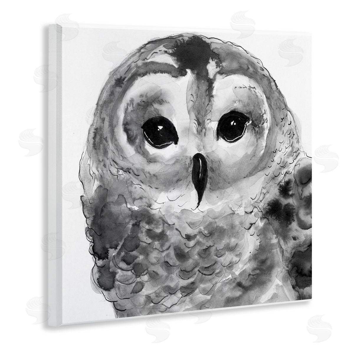 Patti Mann Tranquil Barn Owl Bird Face Portrait Painting Wooden Wall Plaque Art Print