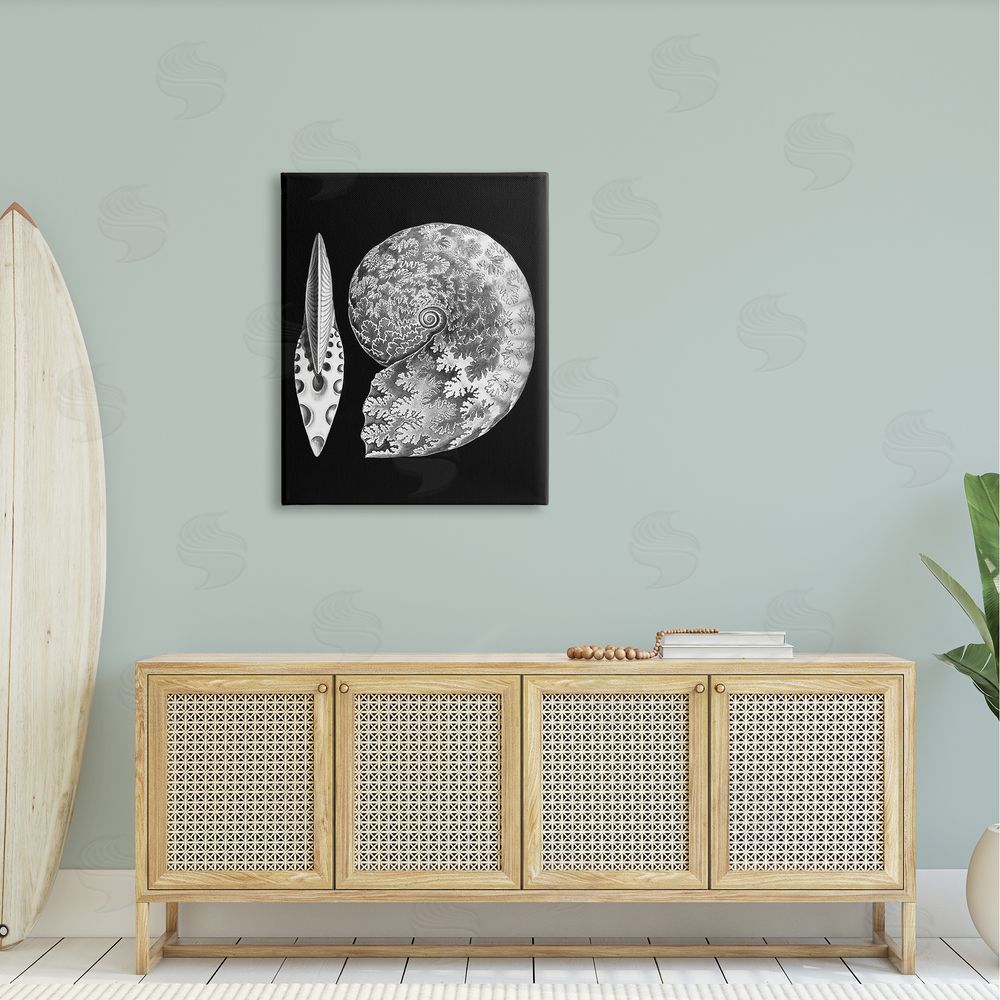 Graffitee Studios Detailed Patterned Nautilus Spiral Seashell Modern Canvas Wall Art Print in Room