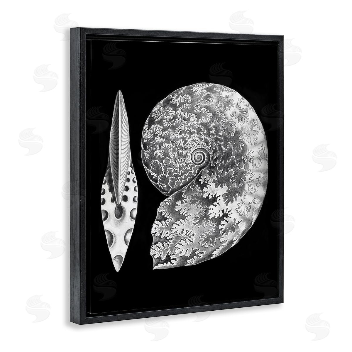 Graffitee Studios Detailed Patterned Nautilus Spiral Seashell Modern Black Floating Frame Canvas Wall Art Print