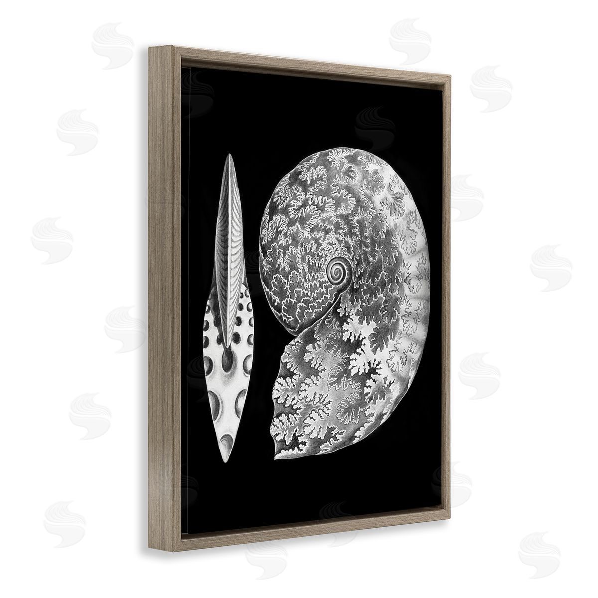 Graffitee Studios Detailed Patterned Nautilus Spiral Seashell Modern Brown Floating Frame Canvas Wall Art Print