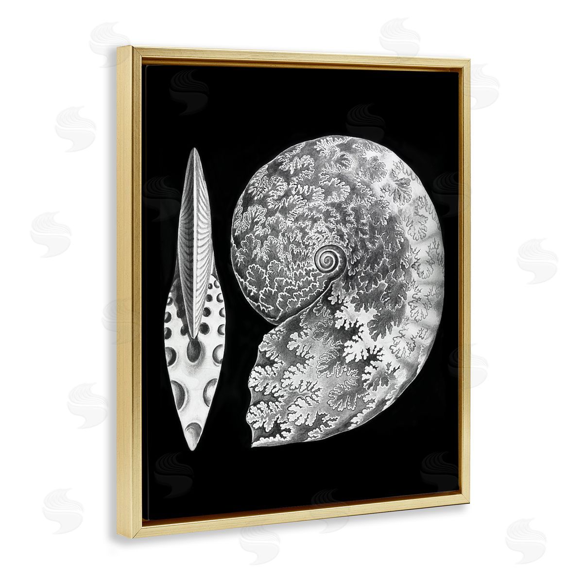 Graffitee Studios Detailed Patterned Nautilus Spiral Seashell Modern Gold Floating Frame Canvas Wall Art Print