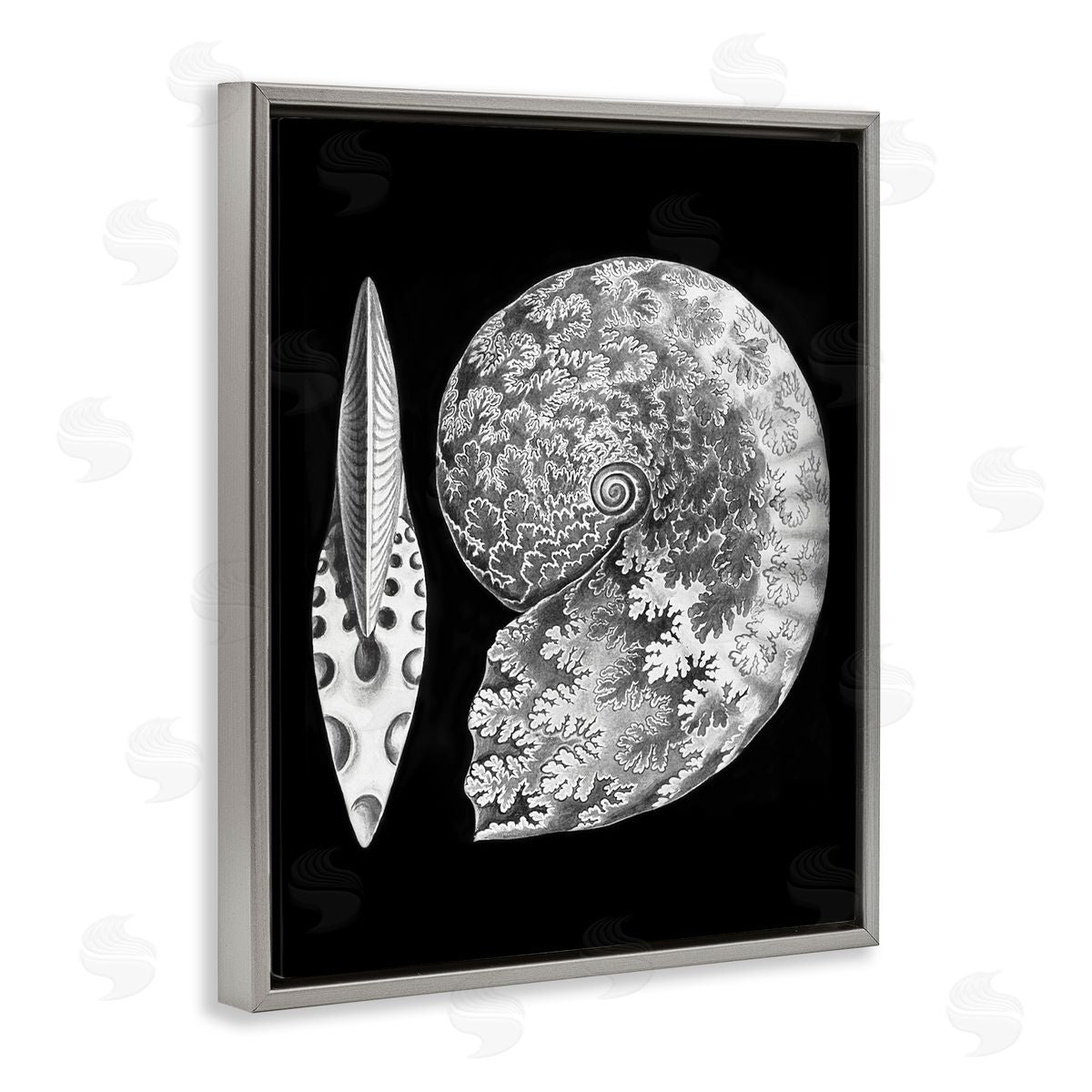 Graffitee Studios Detailed Patterned Nautilus Spiral Seashell Modern Gray Floating Frame Canvas Wall Art Print