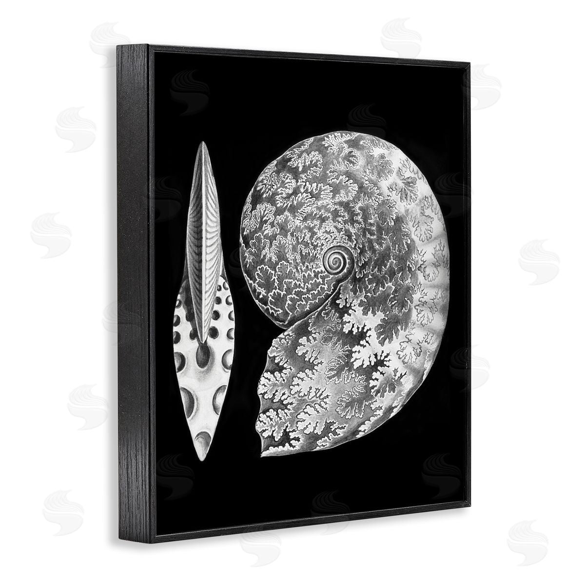Graffitee Studios Detailed Patterned Nautilus Spiral Seashell Modern Black Framed Giclee Wall Art Print