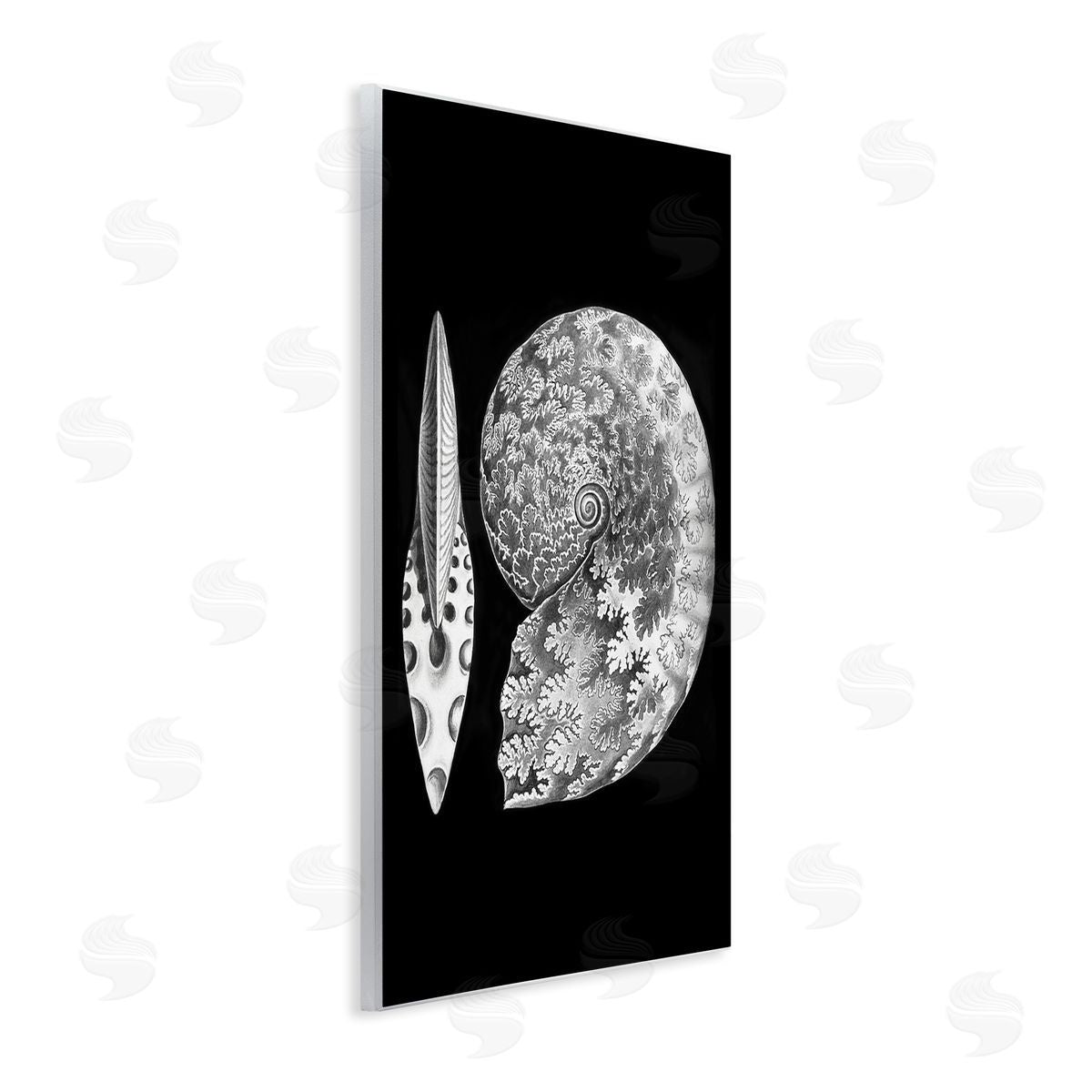Graffitee Studios Detailed Patterned Nautilus Spiral Seashell Modern Wall Plaque Art Print