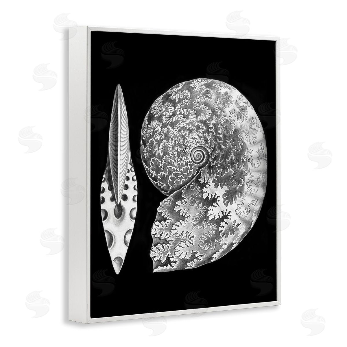 Graffitee Studios Detailed Patterned Nautilus Spiral Seashell Modern White Framed Giclee Wall Art Print