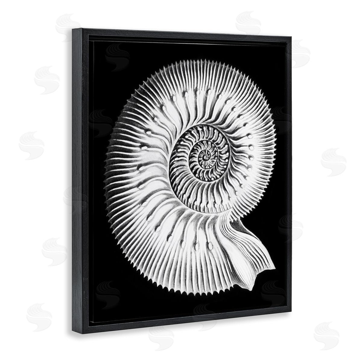 Graffitee Studios Spiral Sea Life Beach Shell Modern Fractal  Black Floating Frame Canvas Wall Art Print