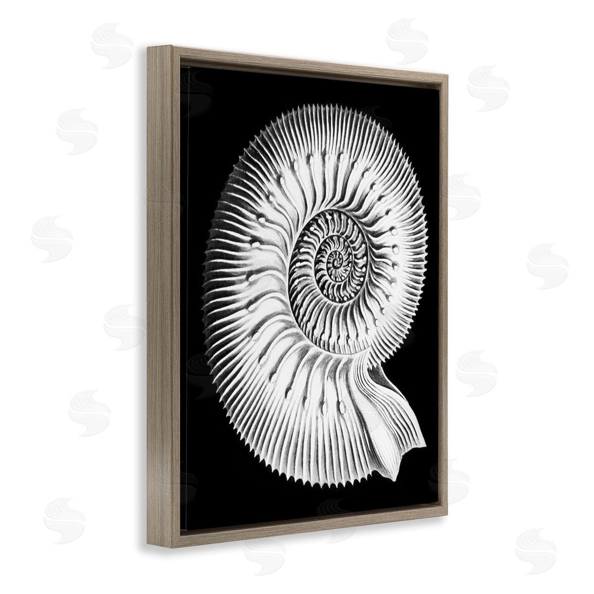 Graffitee Studios Spiral Sea Life Beach Shell Modern Fractal  Brown Floating Frame Canvas Wall Art Print