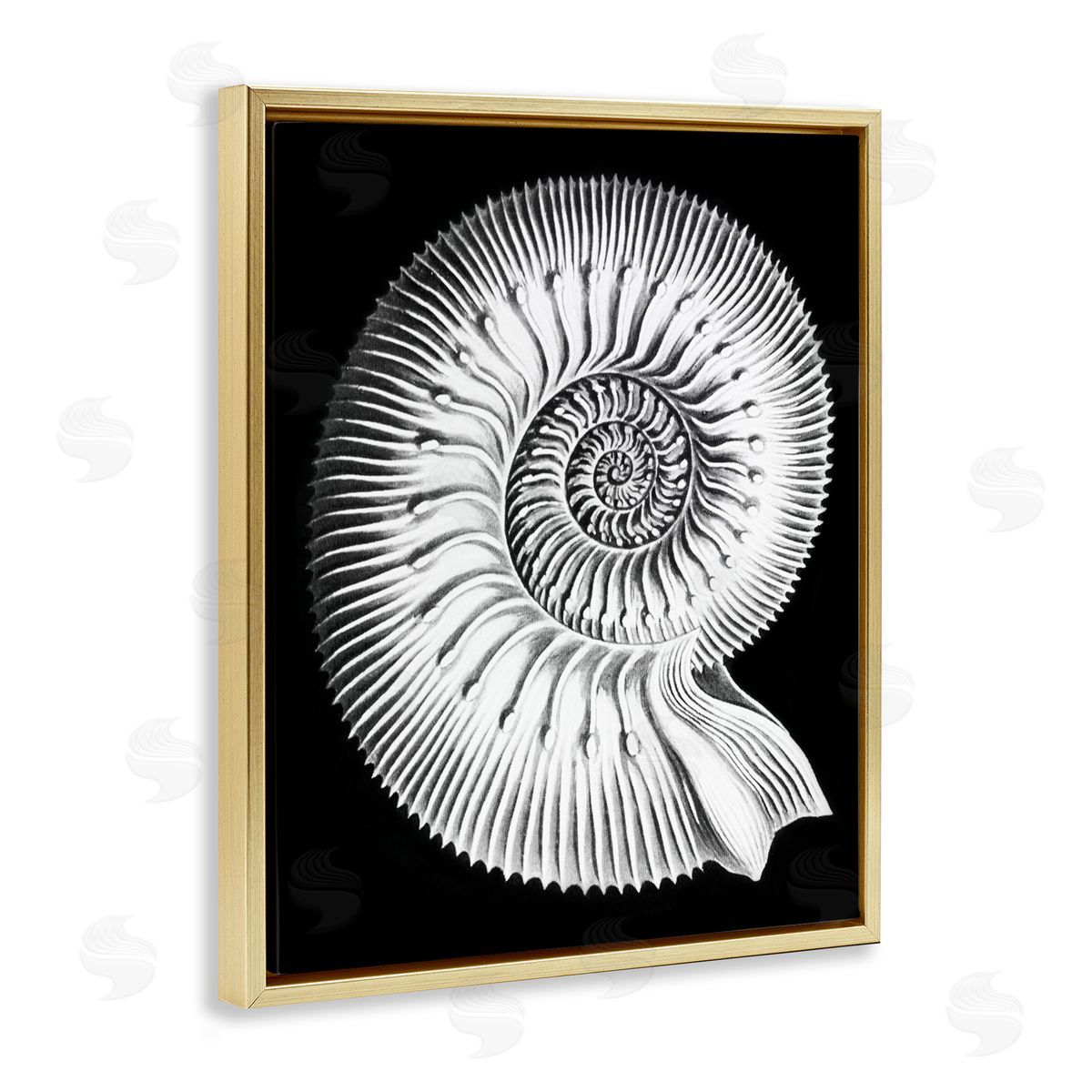Graffitee Studios Spiral Sea Life Beach Shell Modern Fractal  Gold Floating Frame Canvas Wall Art Print