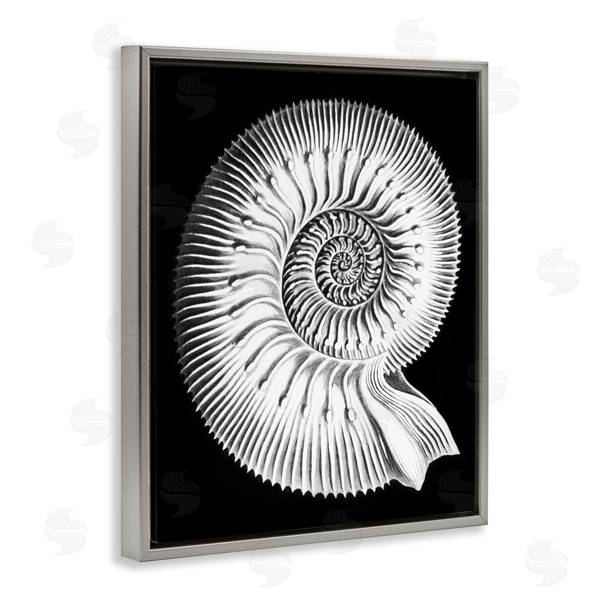 Graffitee Studios Spiral Sea Life Beach Shell Modern Fractal  Gray Floating Frame Canvas Wall Art Print
