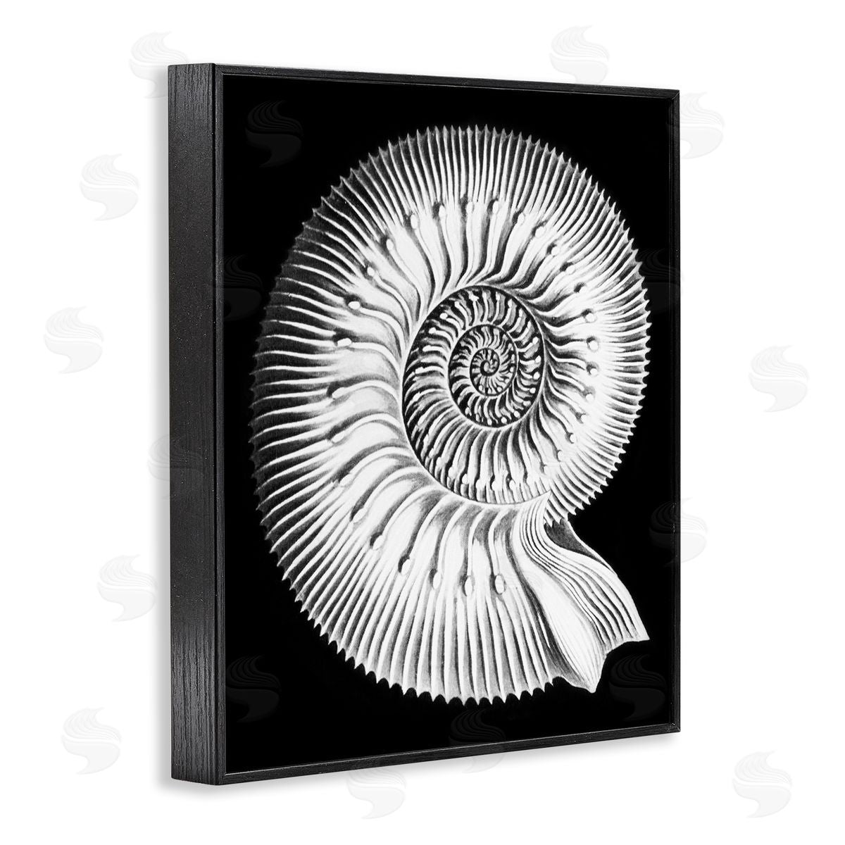 Graffitee Studios Spiral Sea Life Beach Shell Modern Fractal  Black Framed Giclee Wall Art Print