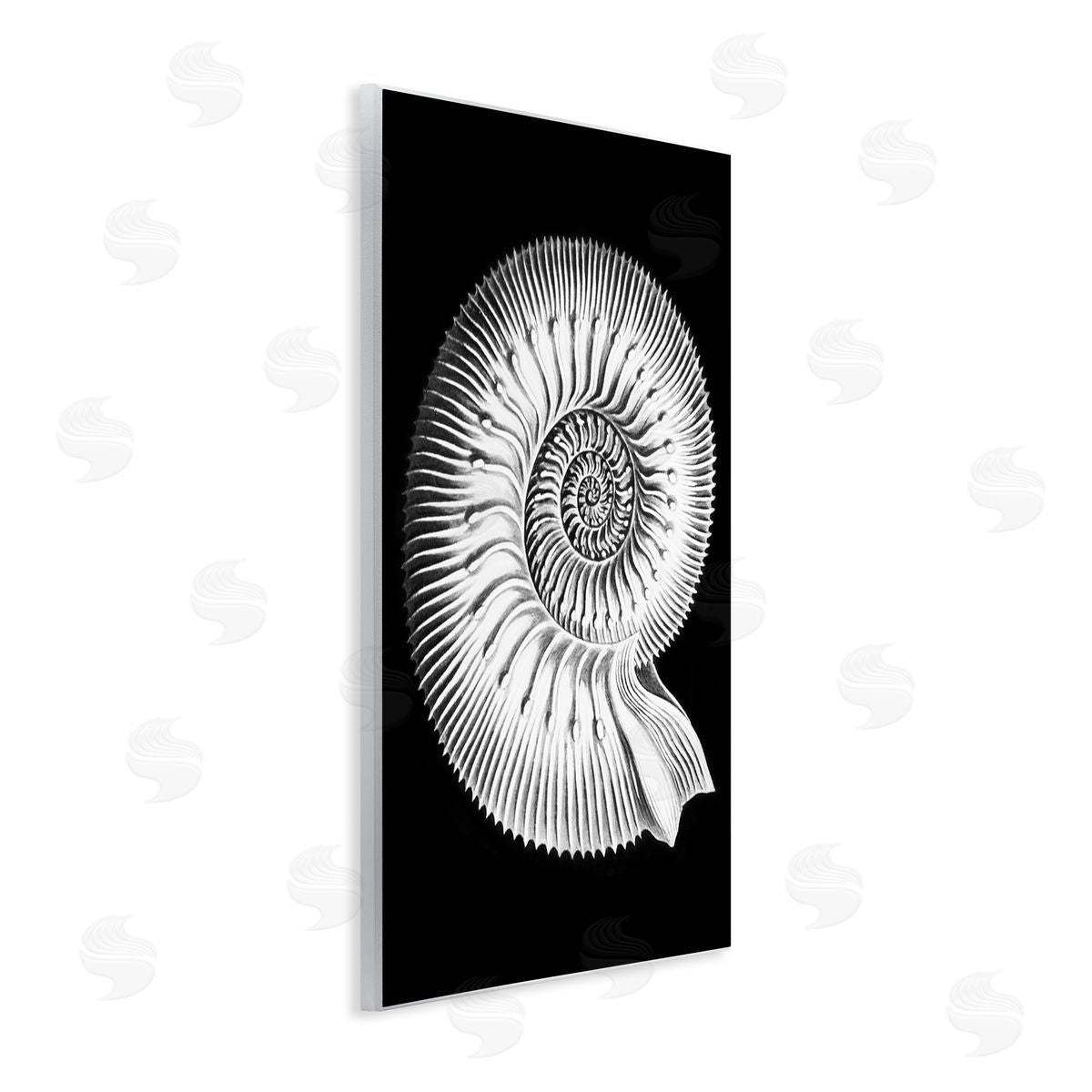 Graffitee Studios Spiral Sea Life Beach Shell Modern Fractal  Wall Plaque Art Print
