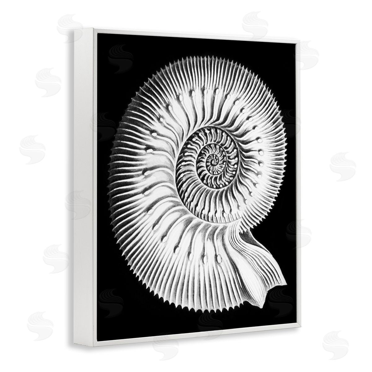 Graffitee Studios Spiral Sea Life Beach Shell Modern Fractal  White Framed Giclee Wall Art Print