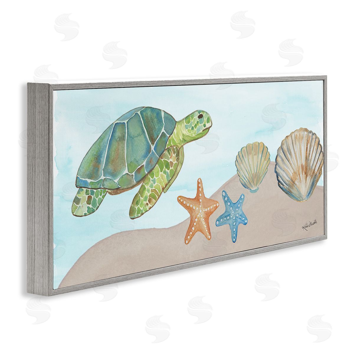 Katie Doucette Green Turtle Swimming Starfish Shells Sea Life 