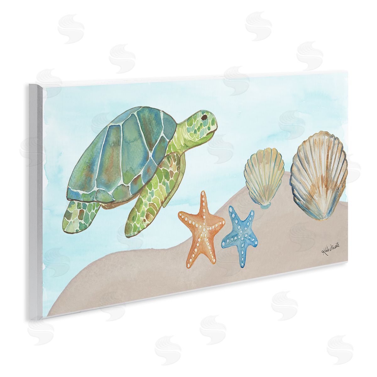 Katie Doucette Green Turtle Swimming Starfish Shells Sea Life 