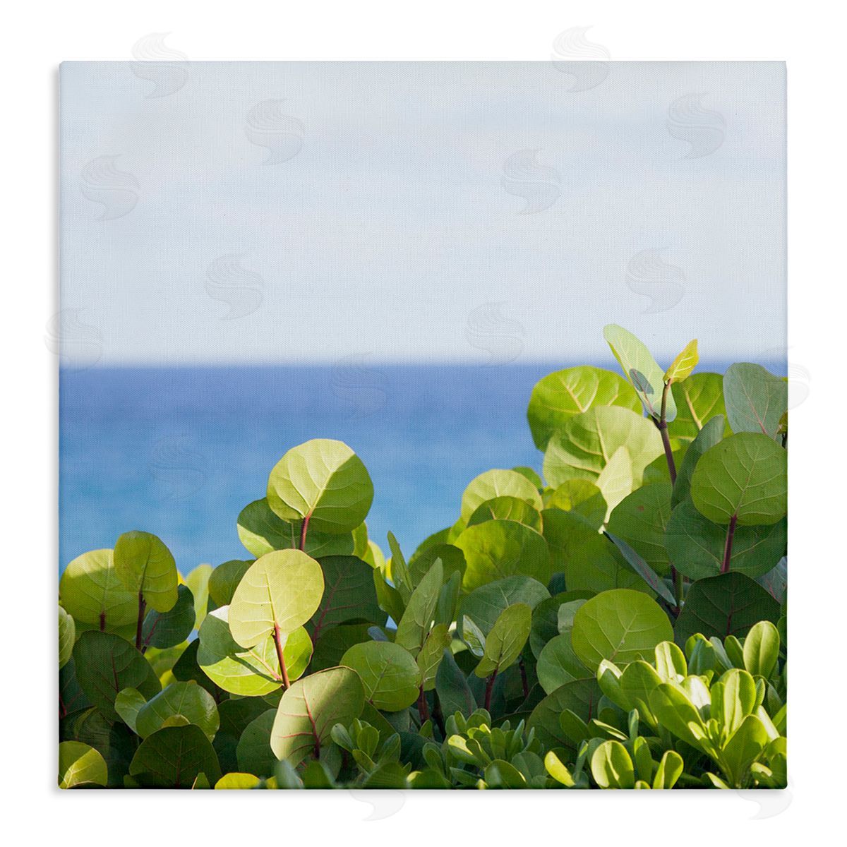 Michael Quackenbush Lush Greenery Plants Distant Beach Ocean Water  Stretched Canvas Wall Art Print