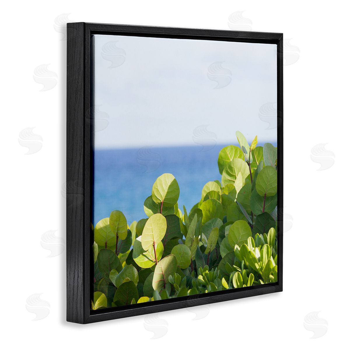 Michael Quackenbush Lush Greenery Plants Distant Beach Ocean Water  Black Floating Frame Canvas Wall Art Print