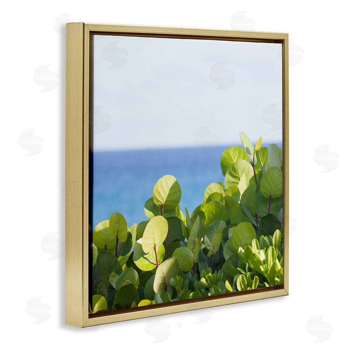 Michael Quackenbush Lush Greenery Plants Distant Beach Ocean Water  Gold Floating Frame Canvas Wall Art Print