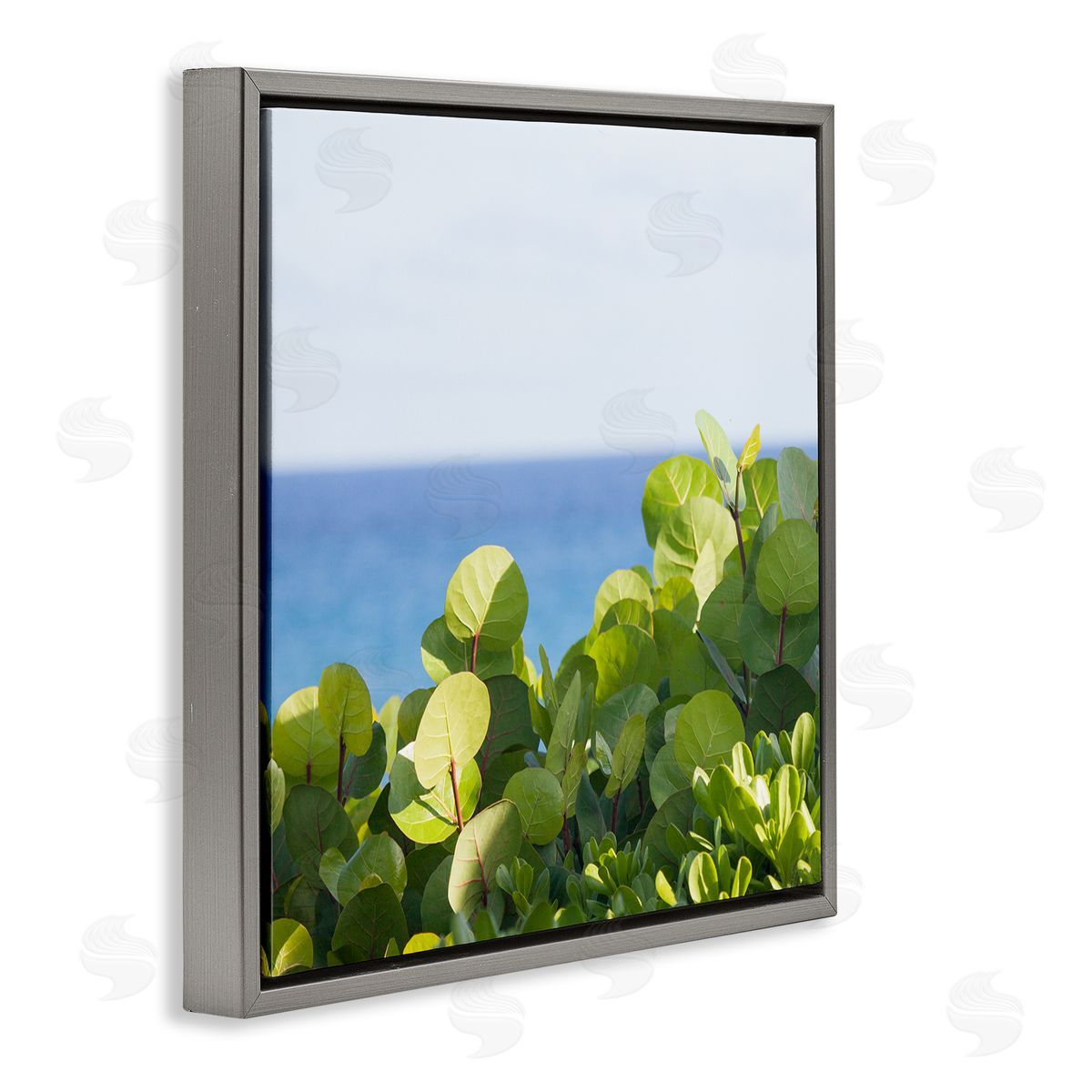 Michael Quackenbush Lush Greenery Plants Distant Beach Ocean Water  Gray Floating Frame Canvas Wall Art Print