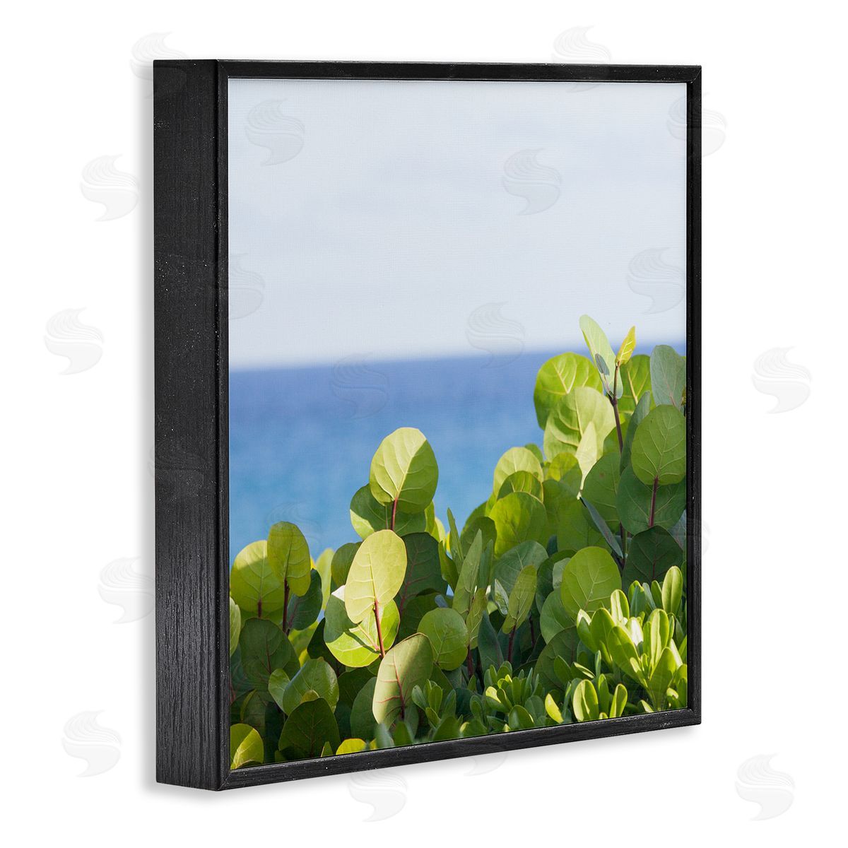 Michael Quackenbush Lush Greenery Plants Distant Beach Ocean Water  Black Framed Glicee Wall Art Print