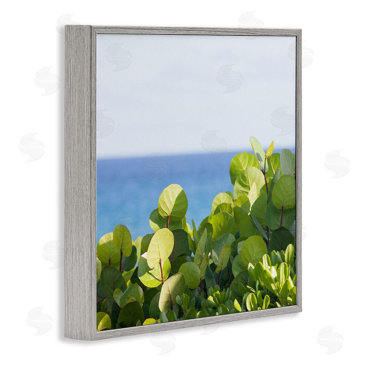 Michael Quackenbush Lush Greenery Plants Distant Beach Ocean Water  Gray Framed Glicee Wall Art Print