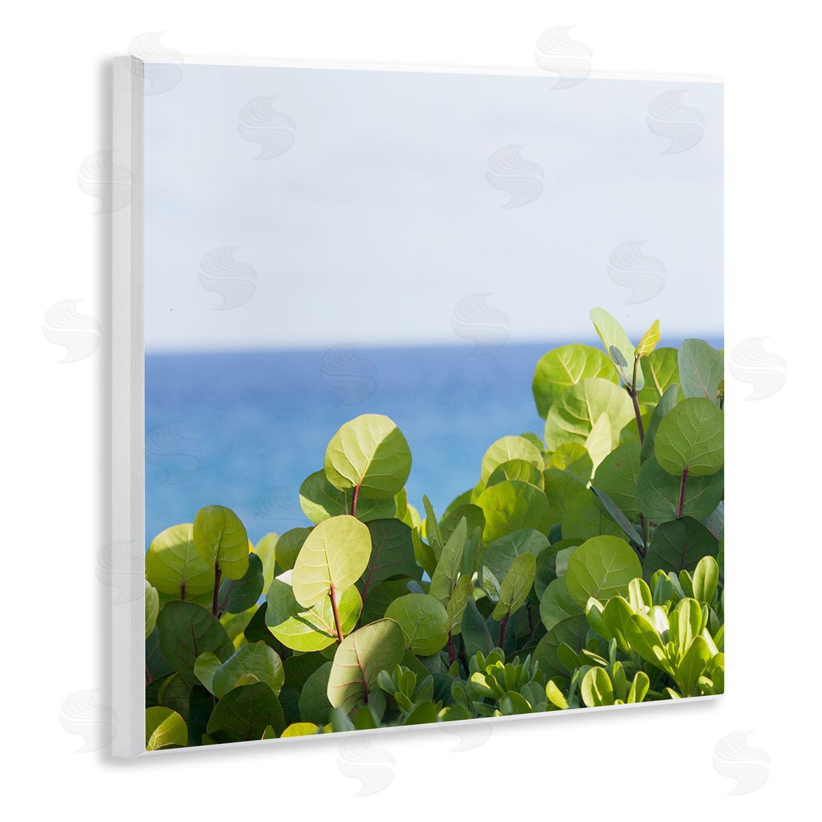 Michael Quackenbush Lush Greenery Plants Distant Beach Ocean Water  Wooden Wall Plaque Art Print