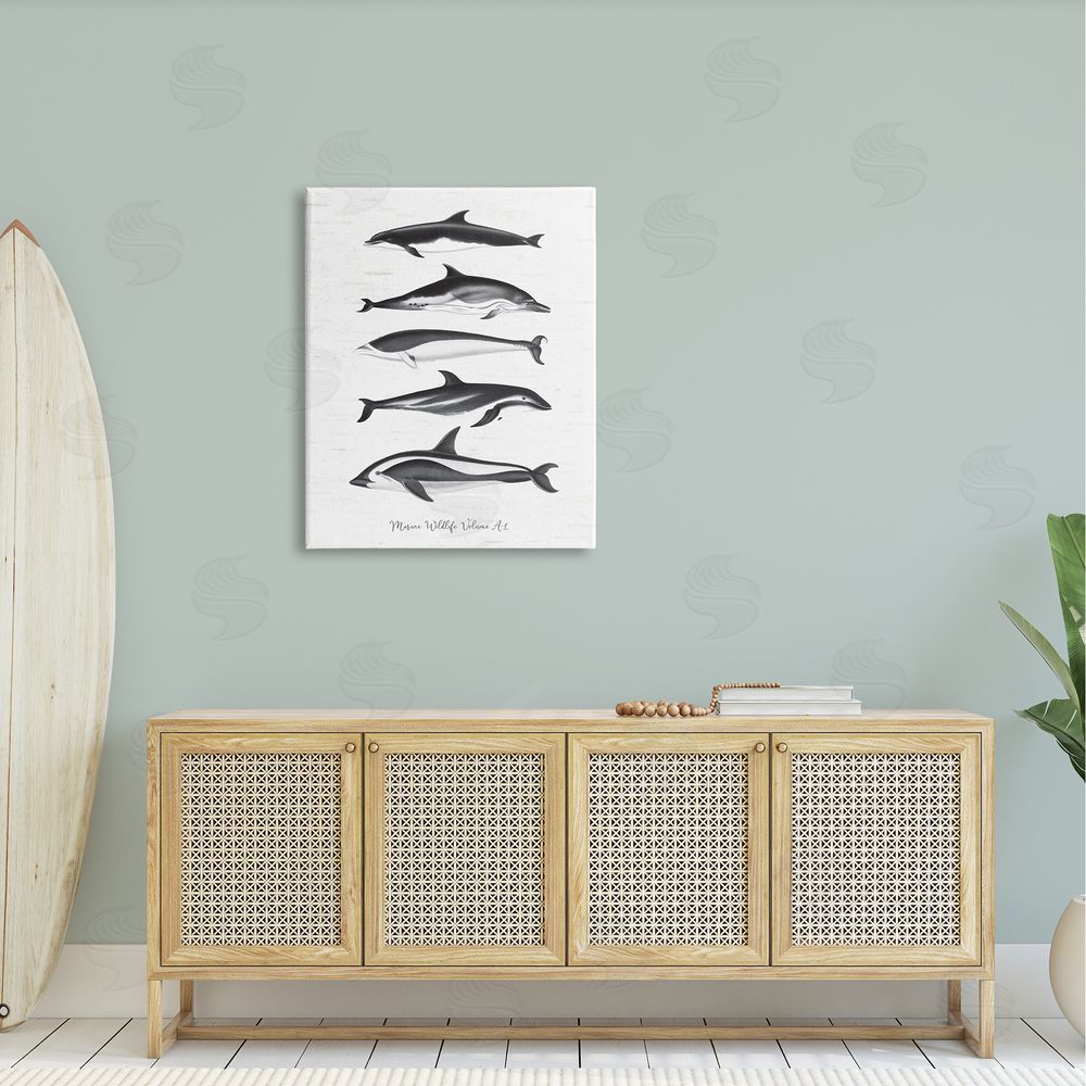 Lettered and Lined Marine Life Orca Whales Diagram Grainy Pattern Canvas Wall Art Print in Room