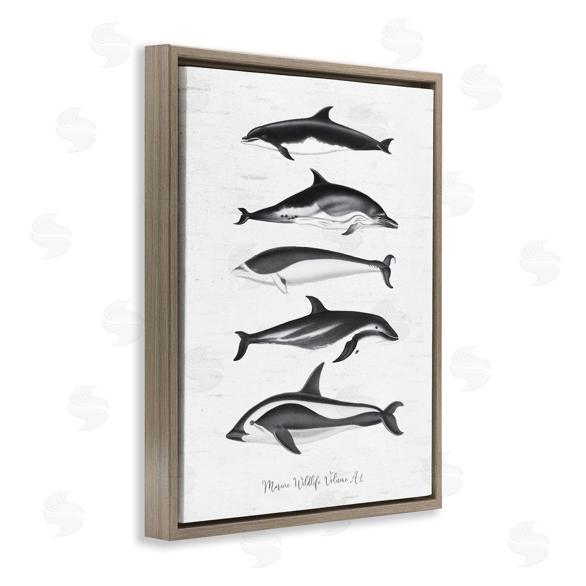 Lettered and Lined Marine Life Orca Whales Diagram Grainy Pattern Brown Floating Frame Canvas Wall Art Print