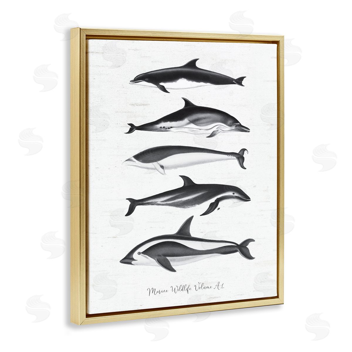 Lettered and Lined Marine Life Orca Whales Diagram Grainy Pattern Gold Floating Frame Canvas Wall Art Print