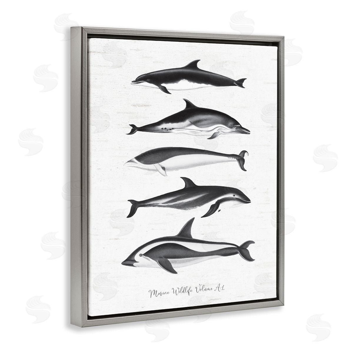Lettered and Lined Marine Life Orca Whales Diagram Grainy Pattern Gray Floating Frame Canvas Wall Art Print