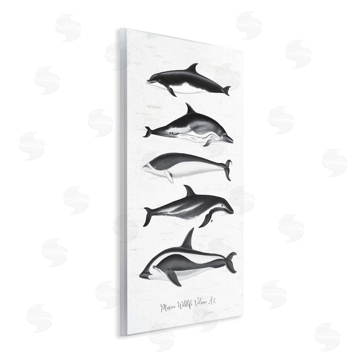 Lettered and Lined Marine Life Orca Whales Diagram Grainy Pattern Wall Plaque Art Print